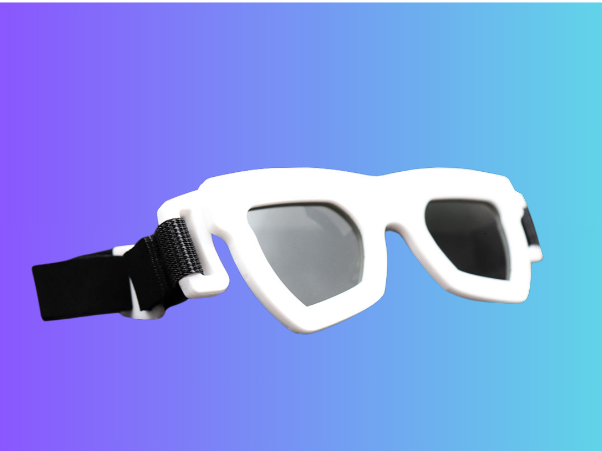 Polarized Magnetic Clip